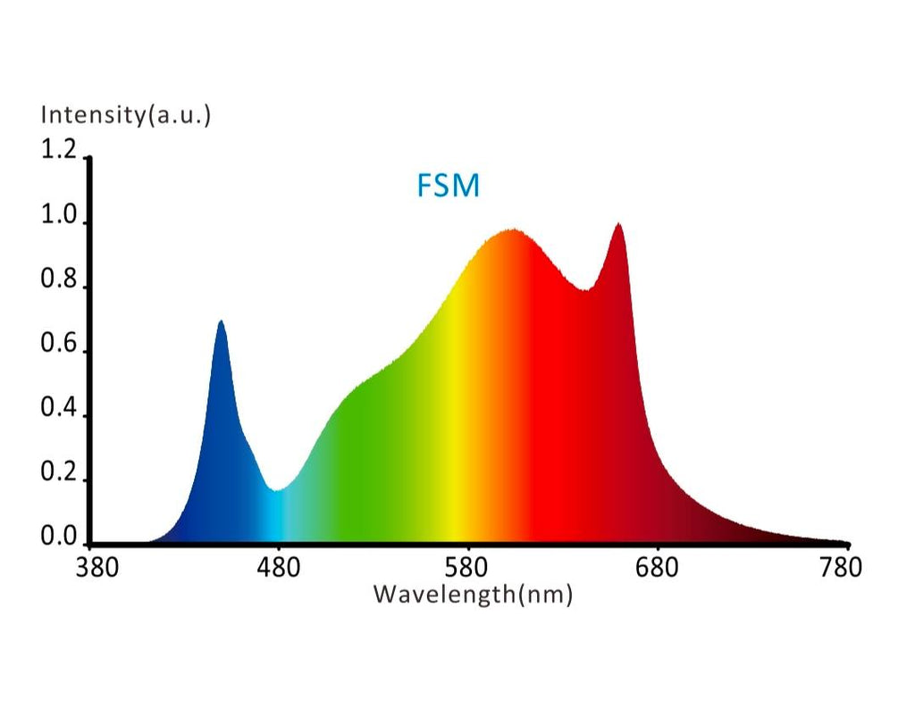 FSM Spektrum Hortimol LED