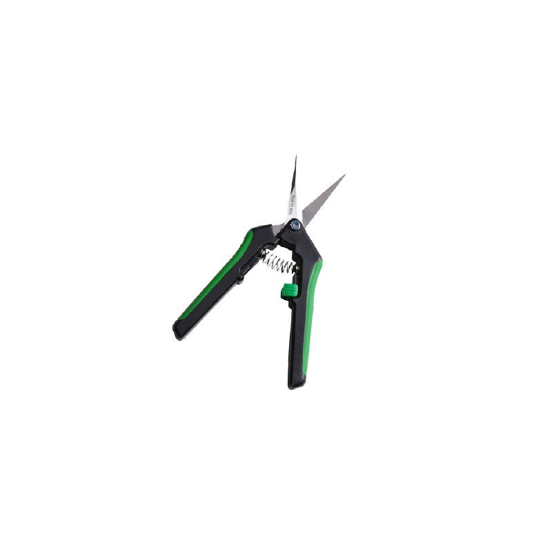 Scissor Straight
